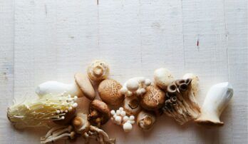 Ázijské huby: spoznajte účinky 6 najznámejších