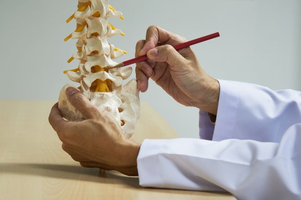 Príčiny bolestí chrbta. Lekár ukazuje na medzi stavcami miesto bolesti chrbta.