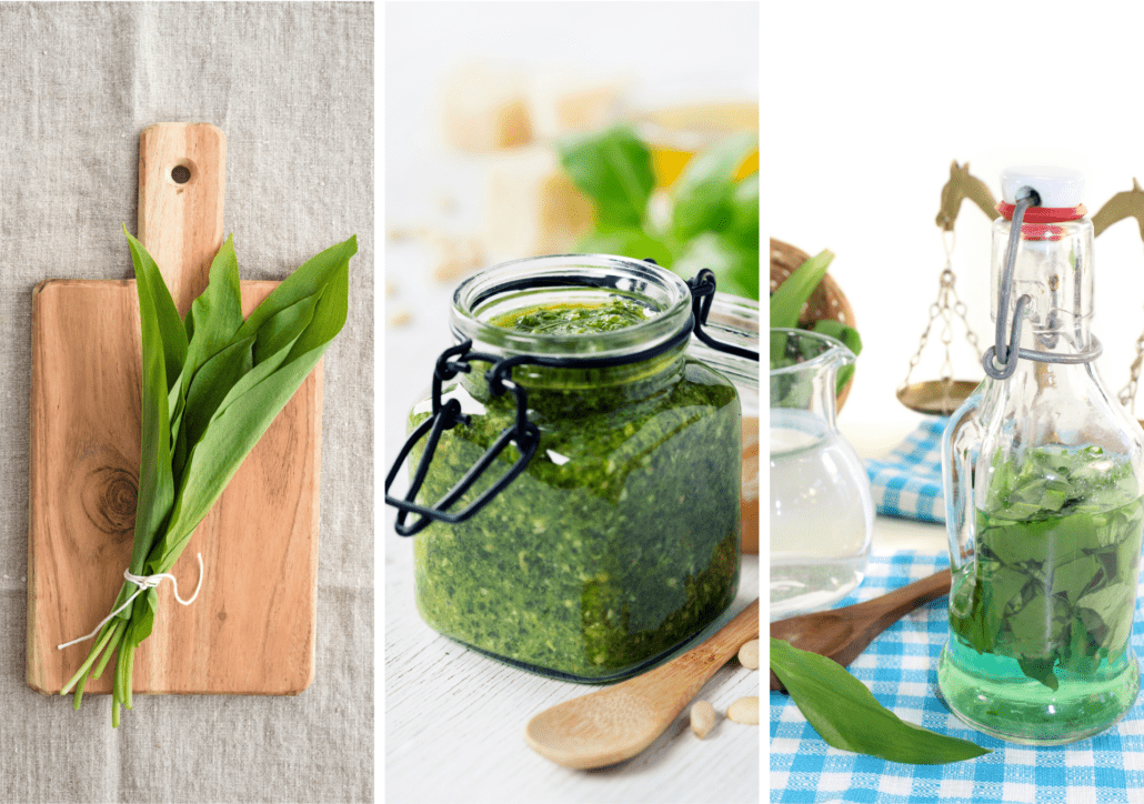 Využitie medvedieho cesnaku v kuchyni: konzumácia celých listov, pesto z medvedieho cesnaku, tinktúra.