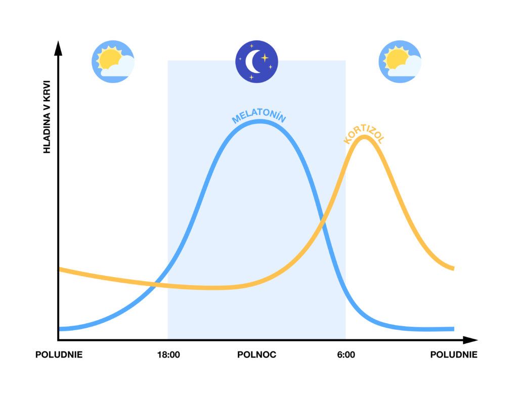 Infografika zobrazujúca ako sa behom celého dňa mení hladina melatonínu a kortizolu.