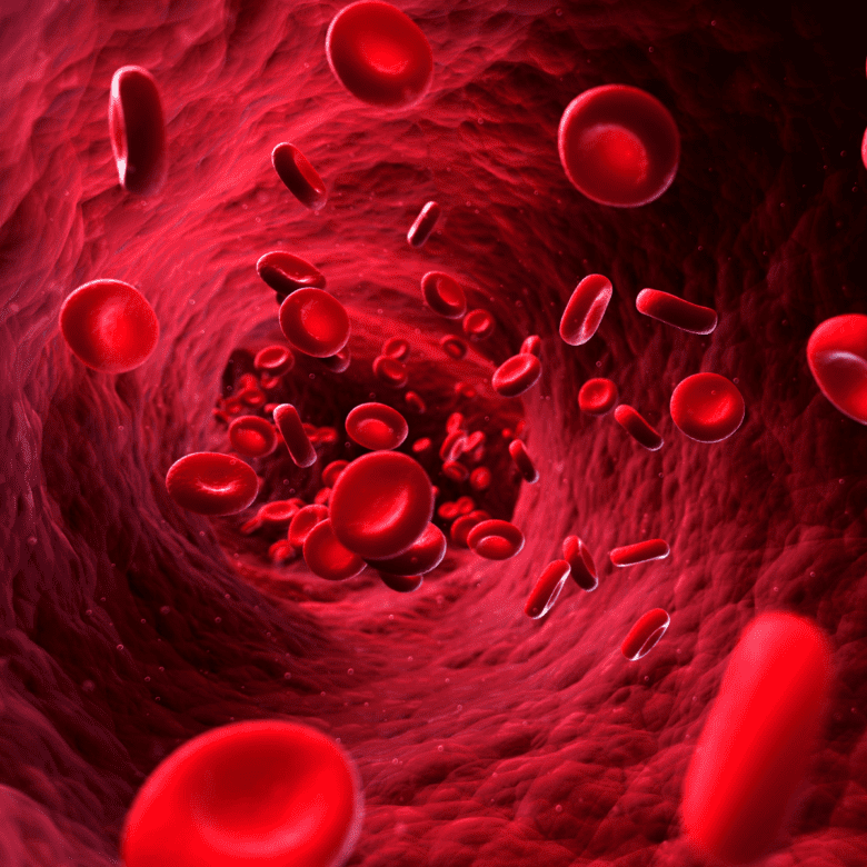 Prenos červených krviniek vo vnútri tela.