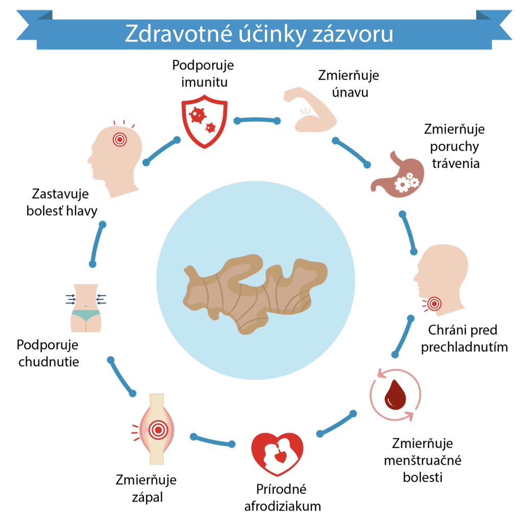 Zdravotné účinky zázvoru - podpora pri prechladnutí, zmierňuje bolesť, zmierňuje tráviace ťažkosti.