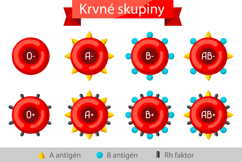 Rozdelenie krvných skupín s A antigénom, B antigénom a Rh faktorom.