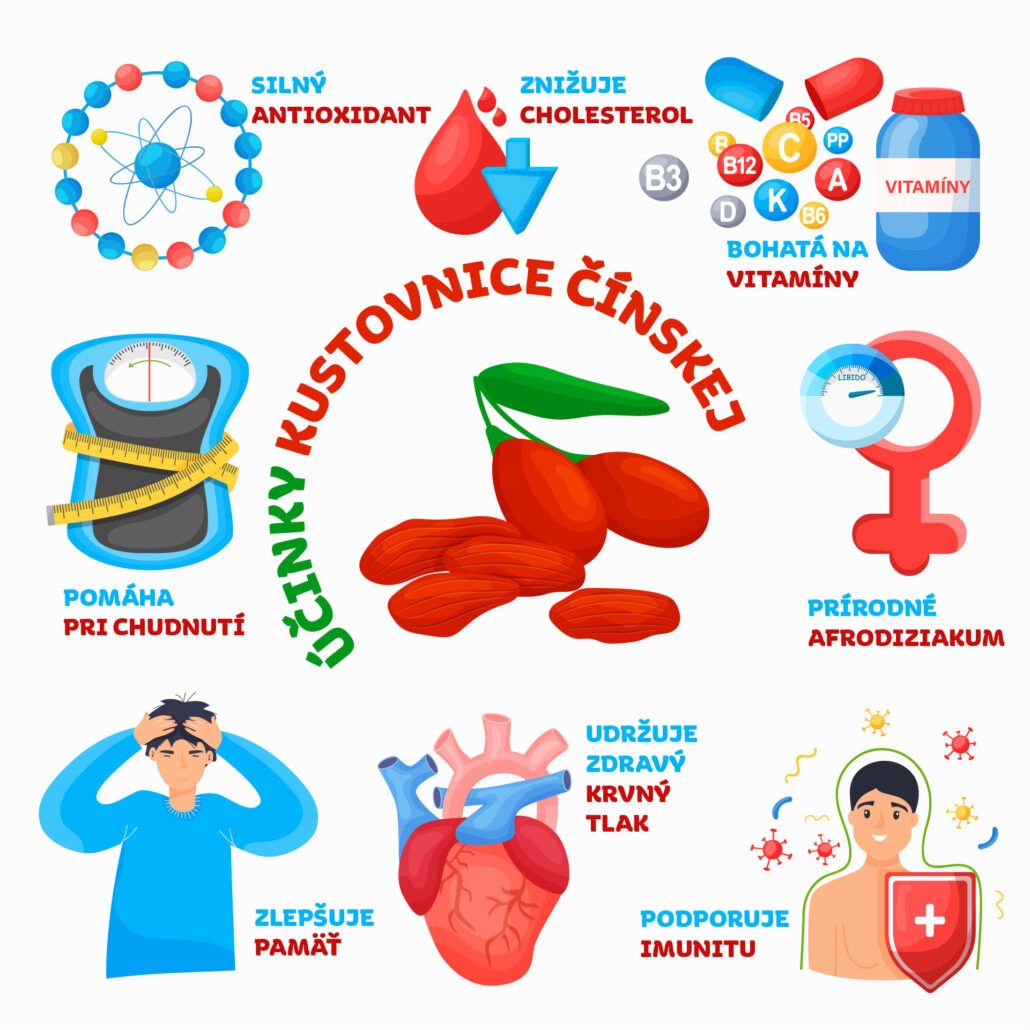 Infografika o účinkoch kustovnice čínskej: antioxidant, znižuje cholesterol, zlepšuje pamäť, udržuje zdravý krvný tlak, podporuje imunitu, afrodiziakum.