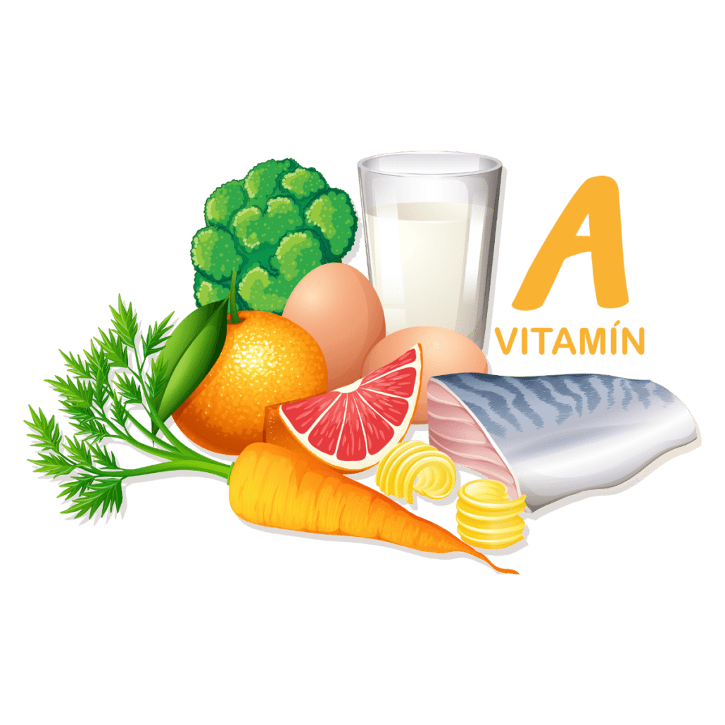 Potravinové zdroje vitamínu A: ovocie, zelenina, ryby, mlieko, vajcia, maslo.