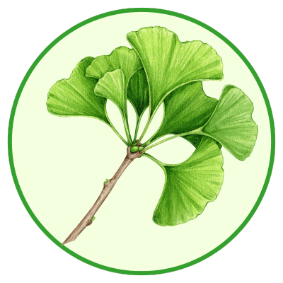 Cemio Ginkgo 40 + Gotu kola - gingko biloba