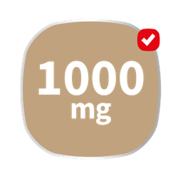 Cemio Hliva ustricova + echinacea a rakytnik - ikonka 1000 mg