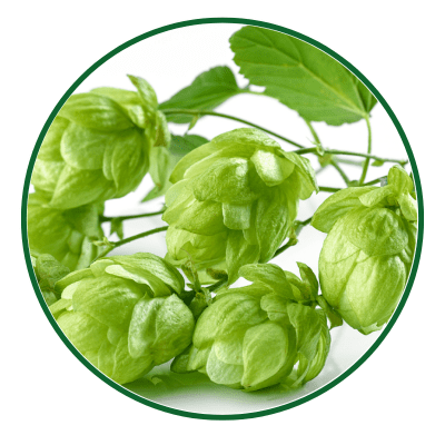 Cemio KOFEIN sampon proti lupinam - ikonka chmel