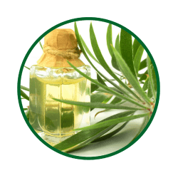 Cemio KOFEIN tonikum proti lupinám - ikonka tea tree oil a citronova tráva
