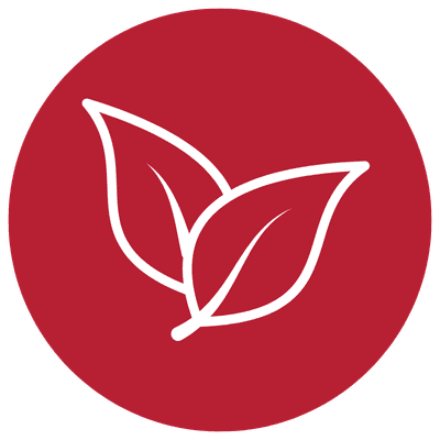 Cemio RED3 - ikonka 100% prirodny