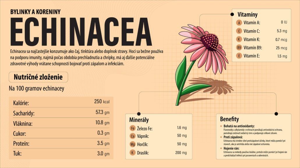 Infogragika zobrazuje echinaceu, obsah minerálov a vitamínov, jej účinky a popisuje využitie na oleje a tinktúry.