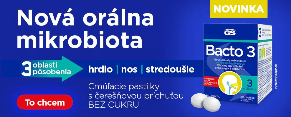 GS Bakto 3 - titulka mobil