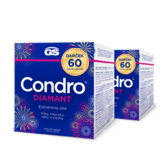 GS Condro® Diamant, 2× 160 tabliet, darčekové balenie 2026