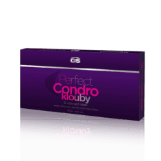 GS Perfect Condro, 60 tabliet