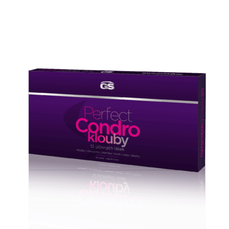 GS Perfect Condro, 60 tabliet