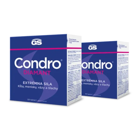 GS Condro® Diamant 2 x 120 tabliet