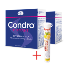GS Condro® Diamant 2 x 120 tabliet