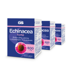 GS Echinacea FORTE 600, 3× 90 tabliet