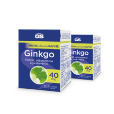 GS Ginkgo 40 mg, 2× 120 tabliet