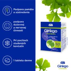 GS Ginkgo 60 mg s horčíkom, 60 tabliet