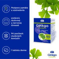 GS Ginkgo 60 mg s horčíkom, 90 tabliet
