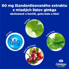 GS Ginkgo 60 mg s horčíkom, 90 tabliet