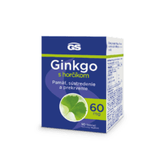 GS Ginkgo 60 mg s horčíkom, 90 tabliet