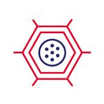 GS Koenzým Lipo Q10 100 mg - ikonka biologickej dostupnosti
