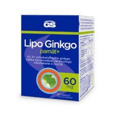 GS Lipo Ginkgo pamäť+ 60mg, 90 kapsúl