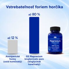 GS Magnesium bisglycinate pure 1000 mg + B6, 100 tabliet