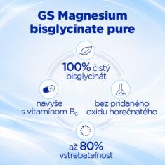 GS Magnesium bisglycinate pure 1000 mg + B6, 100 tabliet