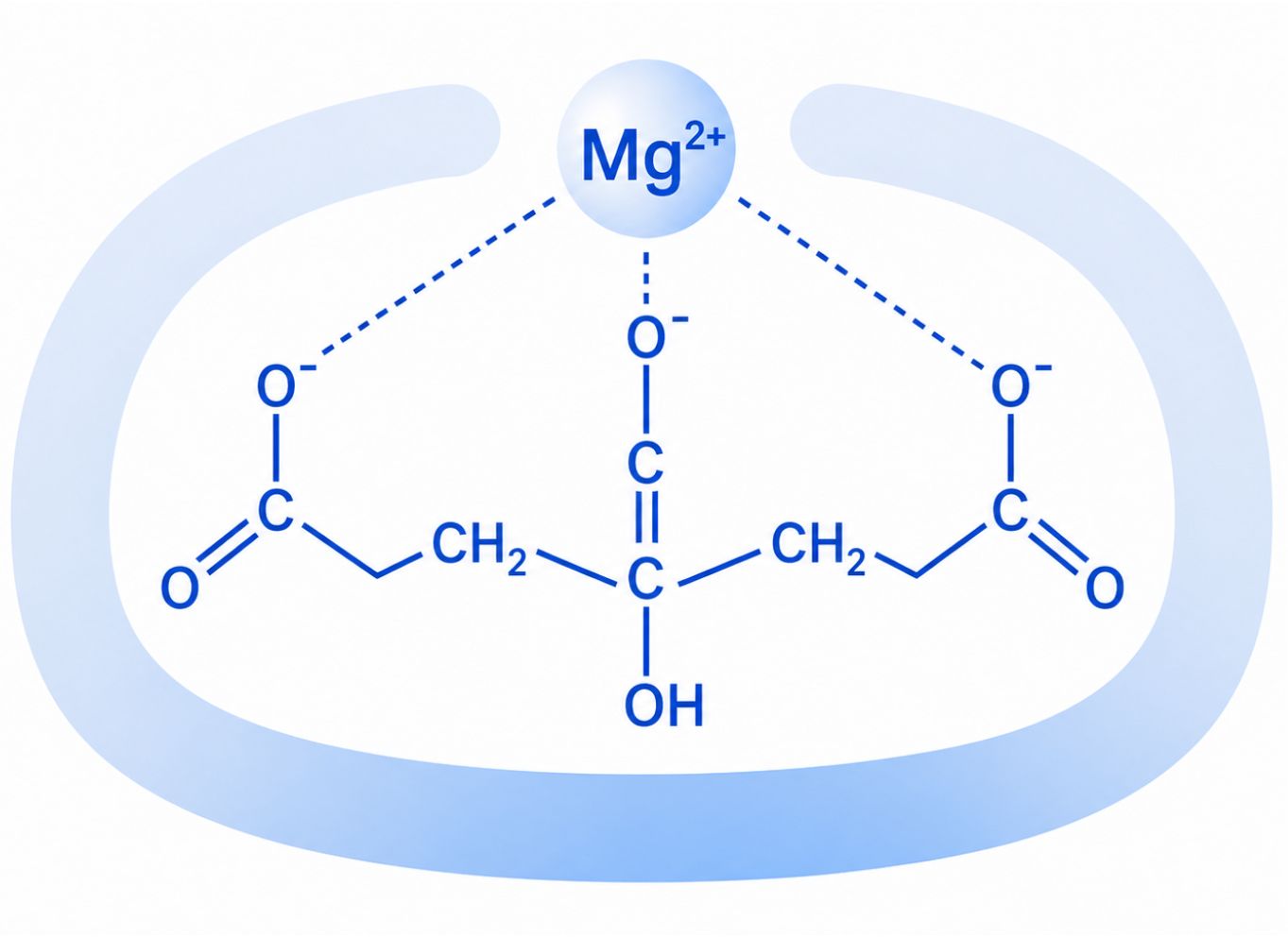 GS Magnesium citrat pure 1340 mg + B6 - 9,5x vzorec