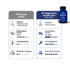 GS Magnesium malate pure 1000 mg + B6, 100 tabliet