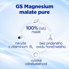 GS Magnesium malate pure 1000 mg + B6, 100 tabliet