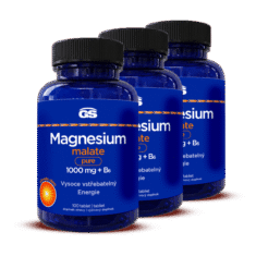GS Magnesium malate pure 1000 mg + B6, 3× 100 tabliet