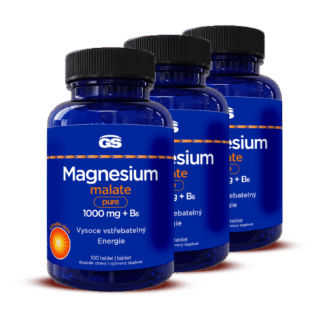 GS Magnesium malate pure 1000 mg + B6, 3× 100 tabliet