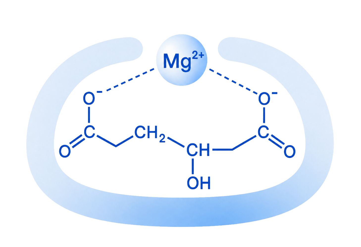 GS Magnesium malate pure 1000 mg + B6 - vzorec