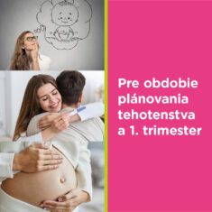 GS Mamavit 1 - Plánovanie a 1. trimester, 90 tabliet
