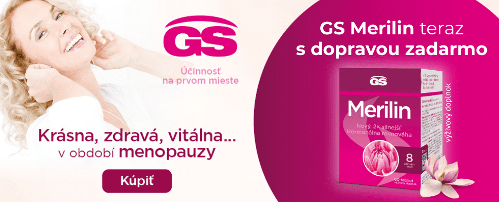GS Merilin - banner do článku