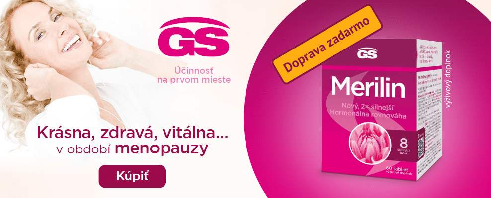 GS Merilin - banner do článku