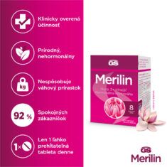 GS Merilin, 60 tabliet