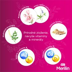 GS Merilin, 60 tabliet