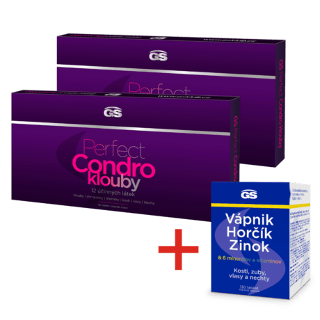 GS Perfect Condro, 2× 60 tabliet