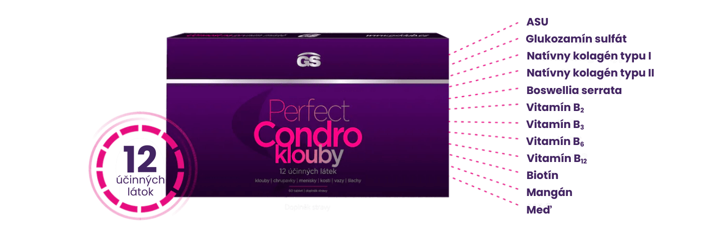 GS Perfect Condro, 60 tabliet - účinné látky