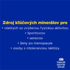 GS Vápnik, Horčík, Zinok, 30 tabliet