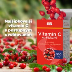 GS Vitamín C 500 so šípkami, 100 + 20 tabliet