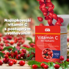 GS Vitamín C 500 so šípkami, 60 tabliet