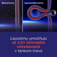 GS Vitamín Lipo C 500 so šípkami, 90 + 10 kapsúl