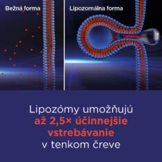 GS Vitamín Lipo C 500 so šípkami, 50 kapsúl