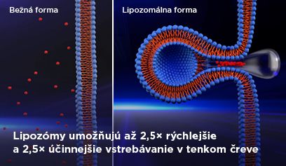 Porovnanie bežnej a lipozomálnej formy vitamínu C